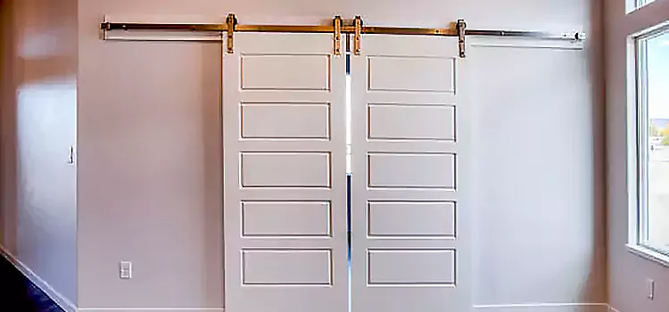 Glass Barn Door with Installation Hardware Kit Severn